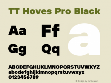 TT Hoves Pro Black Version 3.100.24032023图片样张