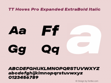 TT Hoves Pro Expanded ExtraBold Italic Version 3.100.24032023图片样张