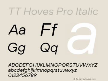 TT Hoves Pro Italic Version 3.100.24032023图片样张