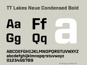 TT Lakes Neue Condensed Bold Version 2.000.11012023图片样张