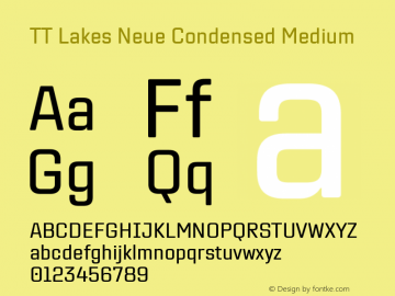 TT Lakes Neue Condensed Medium Version 2.000.11012023图片样张