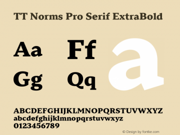 TT Norms Pro Serif ExtraBold Version 1.100.26092023图片样张