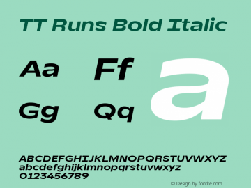 TT Runs Bold Italic Version 2.000.24042023图片样张