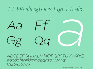 TT Wellingtons Light Italic Version 2.000.25052023图片样张