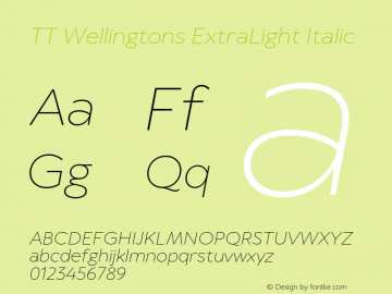 TT Wellingtons ExtraLight Italic Version 2.000.25052023图片样张