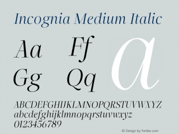 Incognia-MediumItalic Version 1.000图片样张