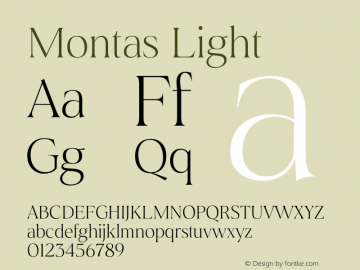 Montas-Light Version 1.001图片样张