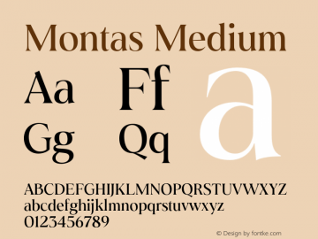Montas-Medium Version 1.001图片样张