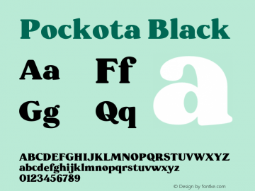 Pockota-Black Version 1.000图片样张