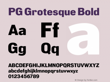 PG Grotesque Bold Version 1.000;Glyphs 3.2 (3207)图片样张