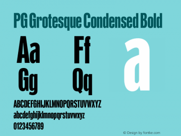 PG Grotesque Condensed Bold Version 1.000;Glyphs 3.2 (3207)图片样张