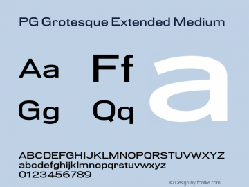 PG Grotesque Extended Medium Version 1.000;Glyphs 3.2 (3207)图片样张