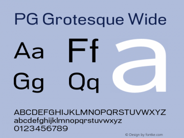 PG Grotesque Wide Version 1.000;Glyphs 3.2 (3207)图片样张