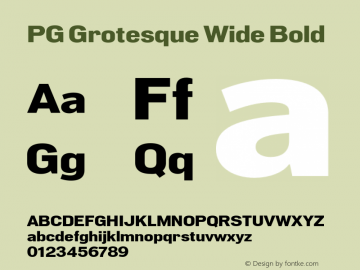 PG Grotesque Wide Bold Version 1.000;Glyphs 3.2 (3207)图片样张