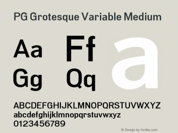 PG Grotesque Variable Version 1.000;Glyphs 3.2 (3207)图片样张