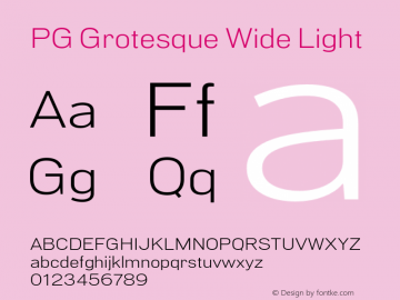 PG Grotesque Wide Light Version 1.000;Glyphs 3.2 (3207)图片样张