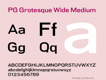 PG Grotesque Wide Medium Version 1.000;Glyphs 3.2 (3207)图片样张