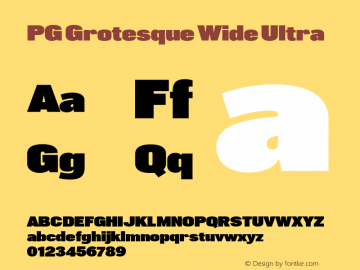 PG Grotesque Wide Ultra Version 1.000;Glyphs 3.2 (3207)图片样张