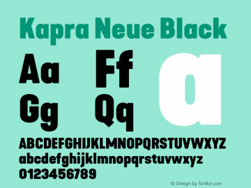Kapra Neue Black Version 1.000;PS 001.000;hotconv 1.0.88;makeotf.lib2.5.64775图片样张