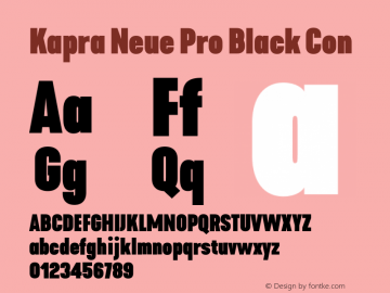 Kapra Neue Pro Black Con Version 1.000;PS 001.000;hotconv 1.0.88;makeotf.lib2.5.64775图片样张