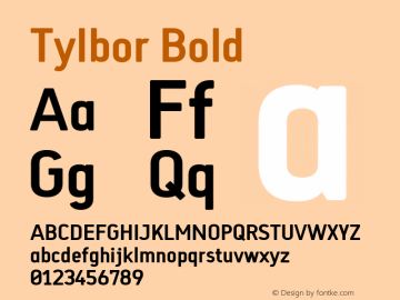 Tylbor Bold Version 1.000;PS 001.000;hotconv 1.0.88;makeotf.lib2.5.64775图片样张