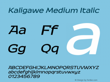 Kaligawe Medium Italic Version 1.000图片样张