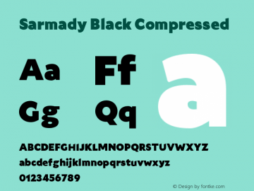 Sarmady Black Compressed Version 1.000;FEAKit 1.0图片样张