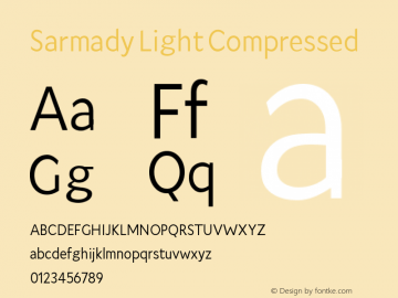 Sarmady Light Compressed Version 1.000;FEAKit 1.0图片样张