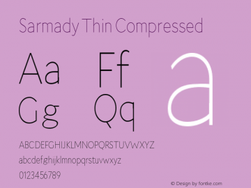Sarmady Thin Compressed Version 1.000;FEAKit 1.0图片样张