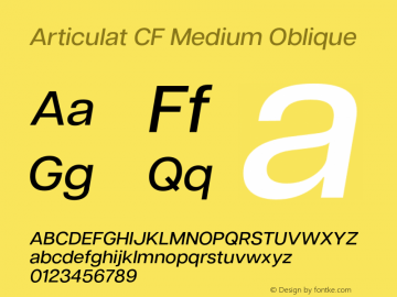 Articulat CF Medium Oblique Version 3.200;FEAKit 1.0图片样张