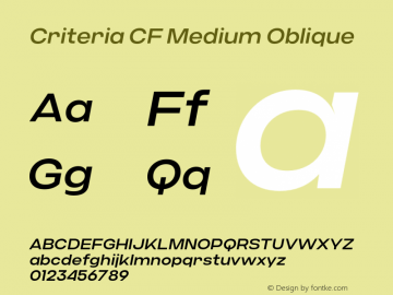Criteria CF Medium Oblique Version 1.300;FEAKit 1.0图片样张