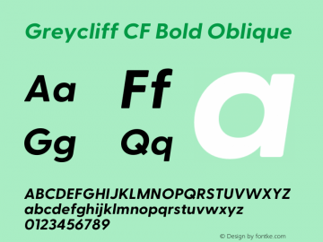 Greycliff CF Bold Oblique Version 2.500;FEAKit 1.0图片样张