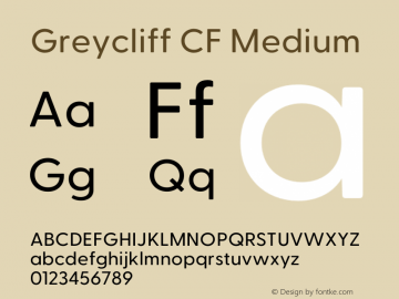 Greycliff CF Medium Version 2.600;FEAKit 1.0图片样张