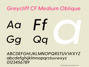 Greycliff CF Medium Oblique Version 2.500;FEAKit 1.0图片样张