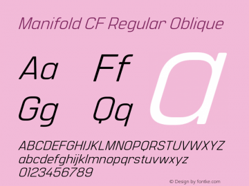 Manifold CF Regular Oblique Version 4.300;FEAKit 1.0图片样张