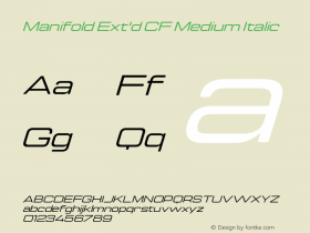 Manifold Ext'd CF Medium Italic Version 4.300;FEAKit 1.0图片样张