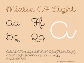 Mielle CF Light Version 1.000;FEAKit 1.0图片样张