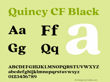 Quincy CF Black Version 4.300;FEAKit 1.0图片样张