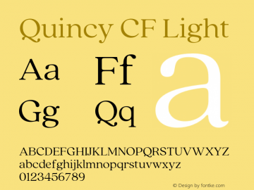 Quincy CF Light Version 4.300;FEAKit 1.0图片样张