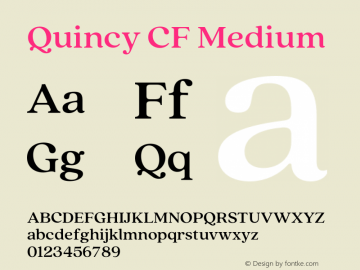 Quincy CF Medium Version 4.300;FEAKit 1.0图片样张