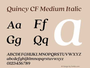 Quincy CF Medium Italic Version 4.300;FEAKit 1.0图片样张