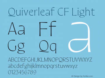 Quiverleaf CF Light Version 1.000;FEAKit 1.0图片样张