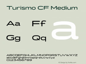 Turismo CF Medium Version 2.100;FEAKit 1.0图片样张