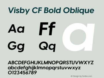 Visby CF Bold Oblique Version 4.200;FEAKit 1.0图片样张