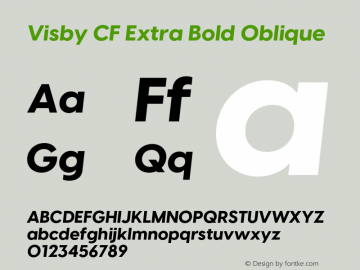 Visby CF Extra Bold Oblique Version 4.200;FEAKit 1.0图片样张