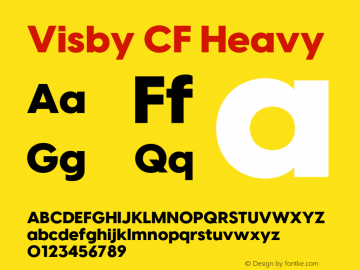 Visby CF Heavy Version 4.200;FEAKit 1.0图片样张