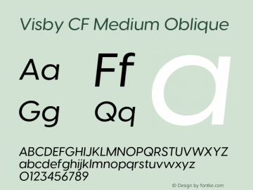 Visby CF Medium Oblique Version 4.200;FEAKit 1.0图片样张