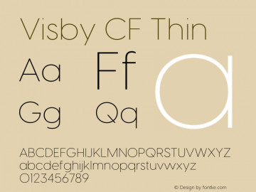 Visby CF Thin Version 4.200;FEAKit 1.0图片样张