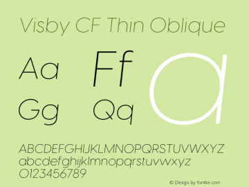 Visby CF Thin Oblique Version 4.200;FEAKit 1.0图片样张