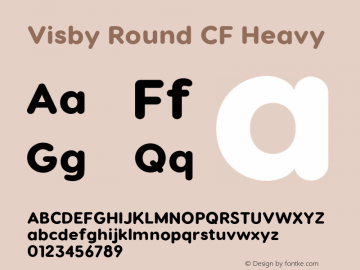 Visby Round CF Heavy Version 2.200;FEAKit 1.0图片样张